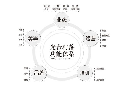 光合项目 乡村振兴战略下的光合村落大设计 —— 项目策划与公关服务方案