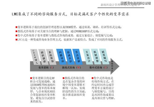 新组织设计管理咨询项目策划与公关服务建议书
